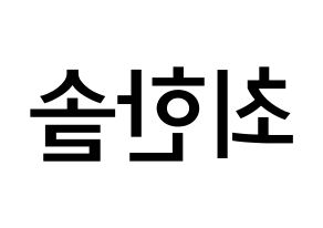 KPOP idol SEVENTEEN  버논 (Choi Han-sol, VERNON) Printable Hangul name Fansign Fanboard resources for concert Reversed