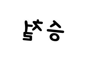 KPOP idol SEVENTEEN  에스쿱스 (Choi Sung-cheol, S.COUPS) Printable Hangul name fan sign, fanboard resources for light sticks Reversed