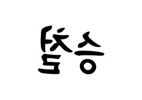 KPOP idol SEVENTEEN  에스쿱스 (Choi Sung-cheol, S.COUPS) Printable Hangul name fan sign, fanboard resources for concert Reversed