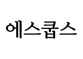 KPOP idol SEVENTEEN  에스쿱스 (Choi Sung-cheol, S.COUPS) Printable Hangul name fan sign, fanboard resources for LED Normal