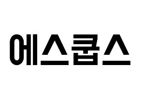 KPOP idol SEVENTEEN  에스쿱스 (Choi Sung-cheol, S.COUPS) Printable Hangul name fan sign, fanboard resources for light sticks Normal
