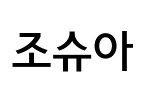 KPOP idol SEVENTEEN  조슈아 (Hong Ji-soo, JOSHUA) Printable Hangul name Fansign Fanboard resources for concert Normal