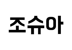 KPOP idol SEVENTEEN  조슈아 (Hong Ji-soo, JOSHUA) Printable Hangul name fan sign, fanboard resources for concert Normal