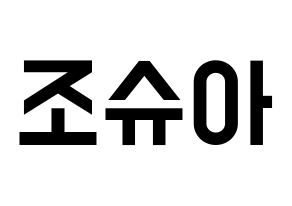 KPOP idol SEVENTEEN  조슈아 (Hong Ji-soo, JOSHUA) Printable Hangul name fan sign, fanboard resources for light sticks Normal