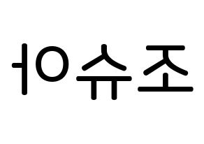 KPOP idol SEVENTEEN  조슈아 (Hong Ji-soo, JOSHUA) Printable Hangul name Fansign Fanboard resources for concert Reversed