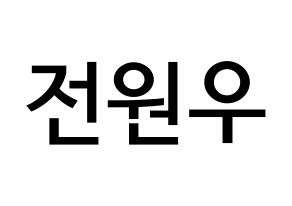 KPOP idol SEVENTEEN  원우 (Jeon Won-woo, WONWOO) Printable Hangul name Fansign Fanboard resources for concert Normal