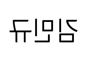 KPOP idol SEVENTEEN  민규 (Kim Min-gyu, MINGYU) Printable Hangul name fan sign, fanboard resources for light sticks Reversed