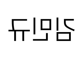 KPOP idol SEVENTEEN  민규 (Kim Min-gyu, MINGYU) Printable Hangul name fan sign, fanboard resources for LED Reversed
