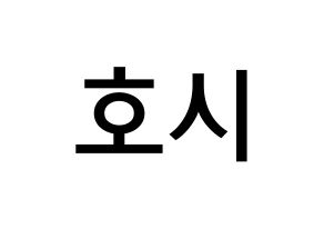 KPOP idol SEVENTEEN  호시 (Kwon Soon-young, HOSHI) Printable Hangul name Fansign Fanboard resources for concert Normal