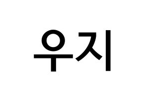 KPOP idol SEVENTEEN  우지 (Lee Ji-hoon, WOOZI) Printable Hangul name Fansign Fanboard resources for concert Normal