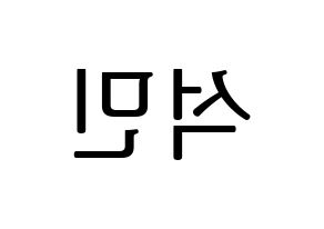 KPOP idol SEVENTEEN  도겸 (Lee Seok-min, DK) Printable Hangul name fan sign, fanboard resources for LED Reversed