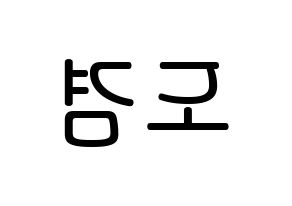 KPOP idol SEVENTEEN  도겸 (Lee Seok-min, DK) Printable Hangul name Fansign Fanboard resources for concert Reversed