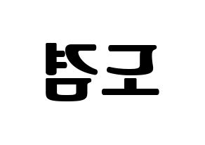 KPOP idol SEVENTEEN  도겸 (Lee Seok-min, DK) Printable Hangul name fan sign, fanboard resources for light sticks Reversed