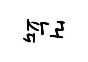 KPOP idol SEVENTEEN  도겸 (Lee Seok-min, DK) Printable Hangul name fan sign, fanboard resources for LED Reversed