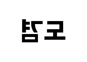 KPOP idol SEVENTEEN  도겸 (Lee Seok-min, DK) Printable Hangul name fan sign, fanboard resources for concert Reversed