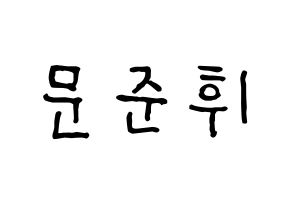 KPOP idol SEVENTEEN  준 (Moon Jun-hwi, JUN) Printable Hangul name fan sign, fanboard resources for concert Normal