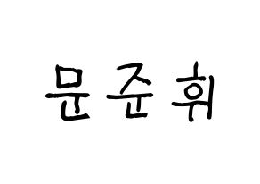 KPOP idol SEVENTEEN  준 (Moon Jun-hwi, JUN) Printable Hangul name fan sign, fanboard resources for light sticks Normal