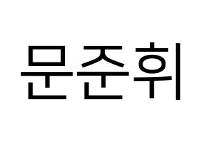 KPOP idol SEVENTEEN  준 (Moon Jun-hwi, JUN) Printable Hangul name fan sign, fanboard resources for LED Normal