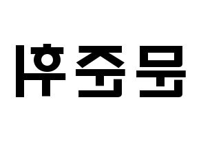 KPOP idol SEVENTEEN  준 (Moon Jun-hwi, JUN) Printable Hangul name fan sign & fan board resources Reversed