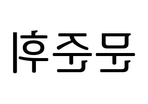 KPOP idol SEVENTEEN  준 (Moon Jun-hwi, JUN) Printable Hangul name fan sign, fanboard resources for LED Reversed