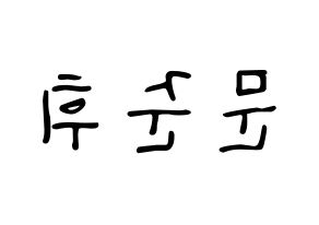 KPOP idol SEVENTEEN  준 (Moon Jun-hwi, JUN) Printable Hangul name fan sign, fanboard resources for LED Reversed