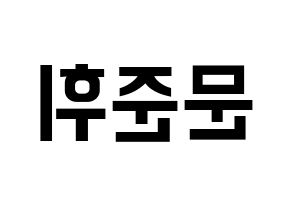 KPOP idol SEVENTEEN  준 (Moon Jun-hwi, JUN) Printable Hangul name fan sign, fanboard resources for concert Reversed