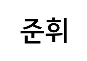 KPOP idol SEVENTEEN  준 (Moon Jun-hwi, JUN) Printable Hangul name Fansign Fanboard resources for concert Normal