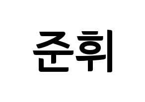 KPOP idol SEVENTEEN  준 (Moon Jun-hwi, JUN) Printable Hangul name fan sign, fanboard resources for concert Normal