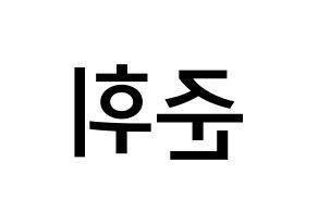 KPOP idol SEVENTEEN  준 (Moon Jun-hwi, JUN) Printable Hangul name Fansign Fanboard resources for concert Reversed