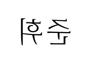 KPOP idol SEVENTEEN  준 (Moon Jun-hwi, JUN) Printable Hangul name fan sign & fan board resources Reversed
