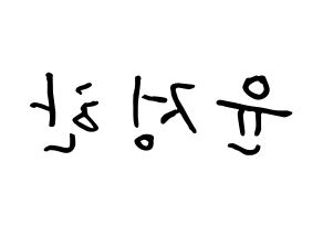 KPOP idol SEVENTEEN  정한 (Yoon Jung-han, JEONGHAN) Printable Hangul name fan sign, fanboard resources for concert Reversed