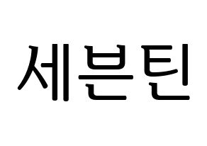 KPOP idol SEVENTEEN Printable Hangul fan sign, fanboard resources for LED Normal
