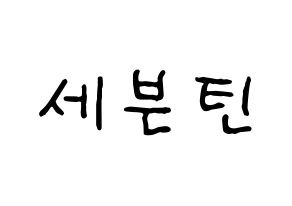 KPOP idol SEVENTEEN Printable Hangul fan sign & fan board resources Normal