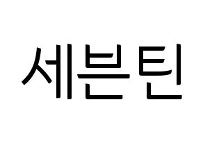KPOP idol SEVENTEEN Printable Hangul fan sign, fanboard resources for light sticks Normal