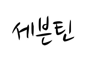 KPOP idol SEVENTEEN Printable Hangul fan sign, concert board resources for light sticks Normal