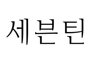 KPOP idol SEVENTEEN Printable Hangul fan sign & concert board resources Normal