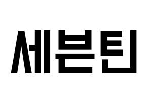 KPOP idol SEVENTEEN Printable Hangul Fansign concert board resources Normal