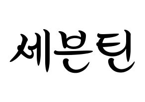 KPOP idol SEVENTEEN Printable Hangul fan sign, concert board resources for light sticks Normal