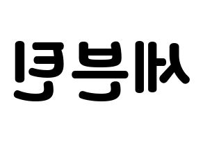 KPOP idol SEVENTEEN Printable Hangul fan sign & concert board resources Reversed