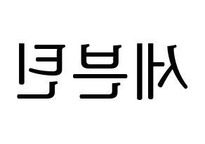 KPOP idol SEVENTEEN Printable Hangul fan sign, fanboard resources for LED Reversed