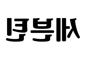KPOP idol SEVENTEEN Printable Hangul fan sign, fanboard resources for light sticks Reversed
