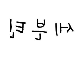 KPOP idol SEVENTEEN Printable Hangul fan sign, concert board resources for light sticks Reversed