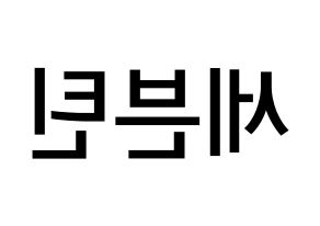 KPOP idol SEVENTEEN Printable Hangul Fansign Fanboard resources Reversed