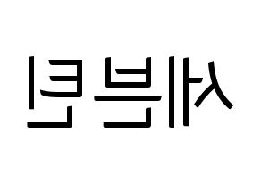 KPOP idol SEVENTEEN Printable Hangul fan sign, fanboard resources for light sticks Reversed