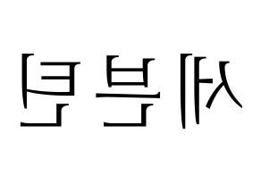 KPOP idol SEVENTEEN Printable Hangul fan sign & concert board resources Reversed