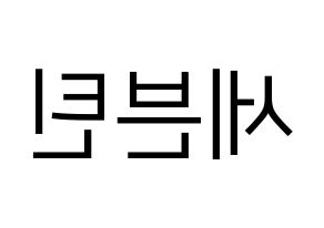 KPOP idol SEVENTEEN Printable Hangul fan sign, fanboard resources for LED Reversed