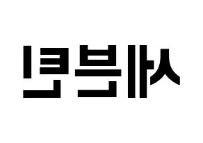 KPOP idol SEVENTEEN Printable Hangul fan sign & fan board resources Reversed
