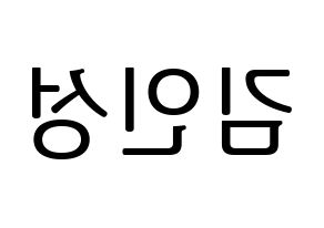 KPOP idol SF9  인성 (Kim In-seong, Inseong) Printable Hangul name fan sign, fanboard resources for LED Reversed