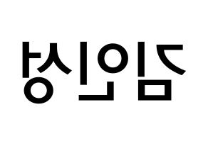 KPOP idol SF9  인성 (Kim In-seong, Inseong) Printable Hangul name Fansign Fanboard resources for concert Reversed