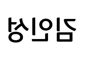 KPOP idol SF9  인성 (Kim In-seong, Inseong) Printable Hangul name fan sign, fanboard resources for concert Reversed